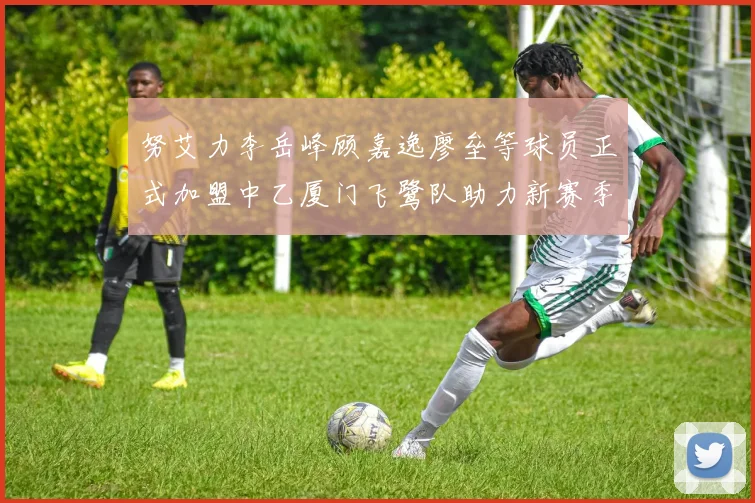 努艾力李岳峰顾嘉逸廖垒等球员正式加盟中乙厦门飞鹭队助力新赛季