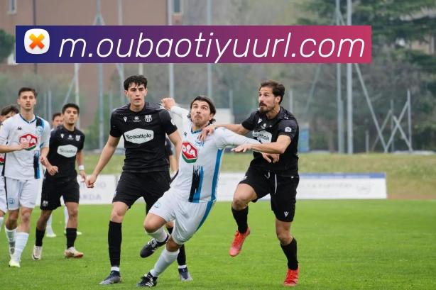 欧宝体育发展历程